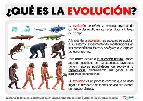Esquema que muestra la evolución de la transferencia: desde la transferencia de varios embriones hasta la tendencia actual de transferencia única de blastocistos.