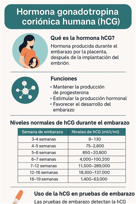 Esquema explicativo de la secreción de la hormona hCG por el embrión tras la implantación en el endometrio.