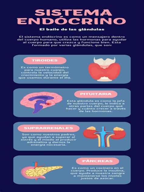 Infografía del sistema de plegado CLICK & FOLD de una silla de paseo.