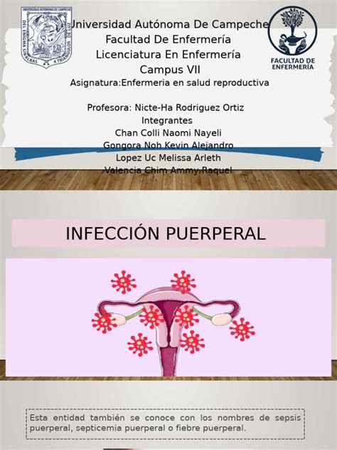 esquema de las principales infecciones puerperales: uterina, urinaria y perineal