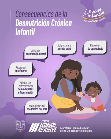 Esquema sobre el impacto de la desnutrición crónica en el desarrollo cognitivo y físico durante los primeros 1000 días de vida.