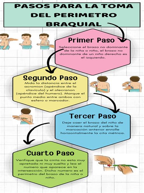 Guía visual de medición de perímetro braquial con bandas de colores (rojo, naranja, amarillo, verde).