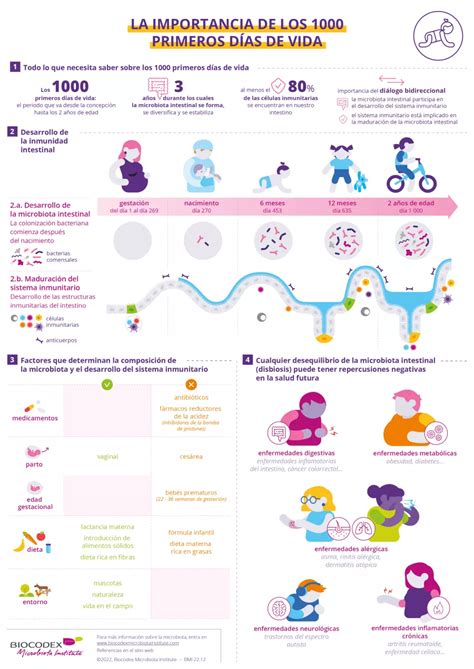 infografía resumen de los 1000 primeros días de vida del bebé