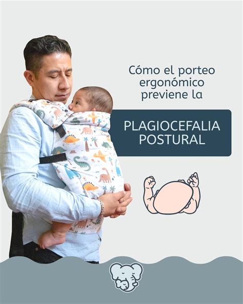 Esquema que muestra la posición ergonómica del bebé en contacto piel con piel (posición ranita)