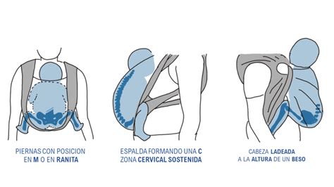 Infografía comparativa: beneficios del porteo frente a la incubadora tradicional