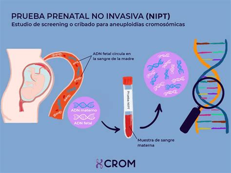 Comparativa visual de amniocentesis (invasiva) y extracción de sangre para TPNI (no invasiva)