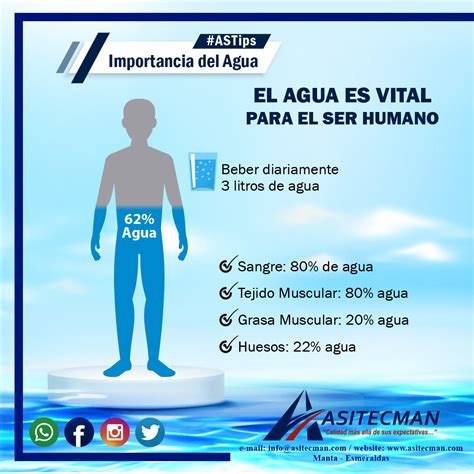 infografía sobre el porcentaje de agua en el cuerpo humano y la importancia de la hidratación