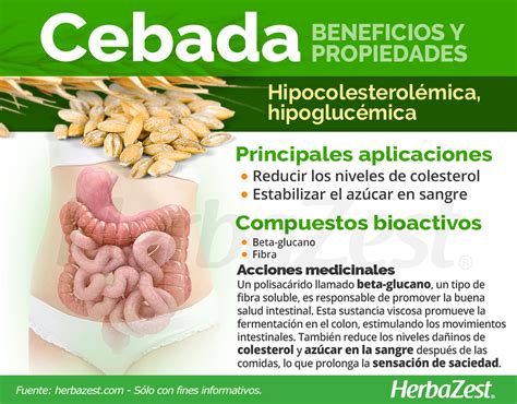infografía de beneficios nutricionales de la cebada