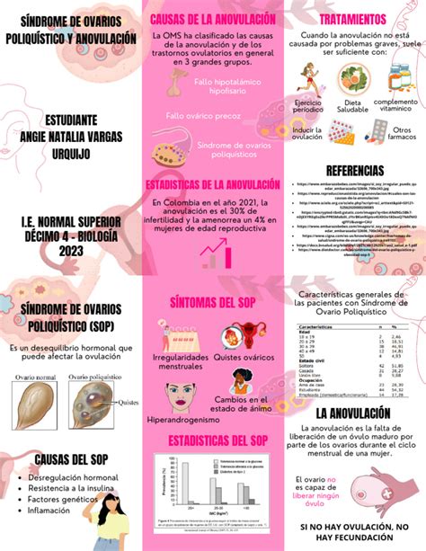 Infografía sobre las causas comunes de la anovulación y cómo afecta al equilibrio hormonal sistémico.