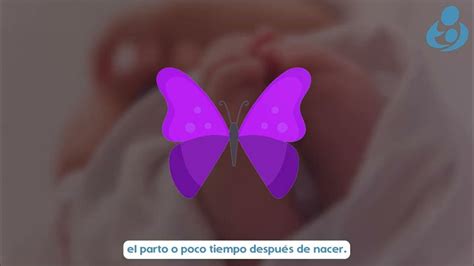 ilustración de una mariposa morada como símbolo del duelo perinatal