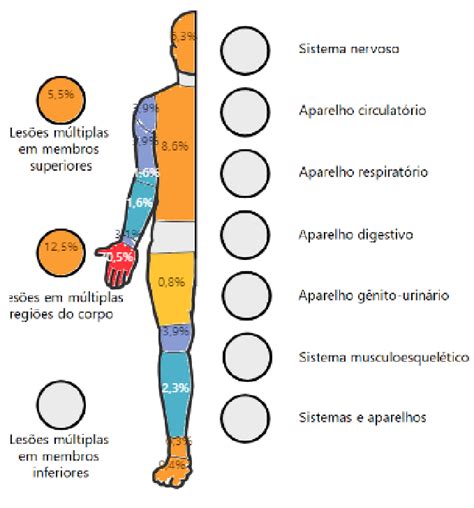 Ilustração mostrando as áreas do corpo do bebê mais afetadas pela dermatite de fralda: nádegas, genitais e coxas.
