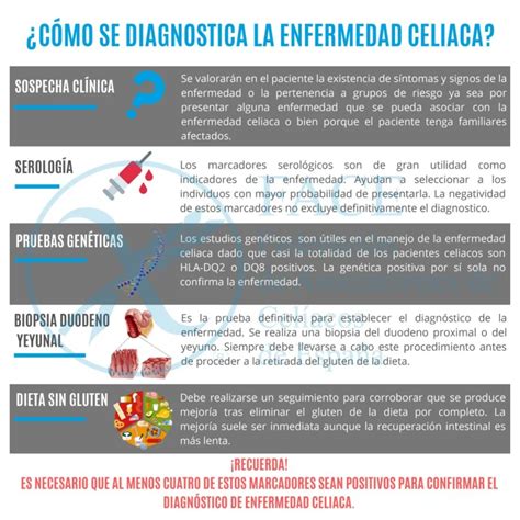 Infografía sobre los marcadores serológicos de la enfermedad celíaca