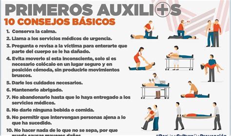 Esquema de primeros auxilios: pasos a seguir tras un golpe en la cabeza y señales de alarma.
