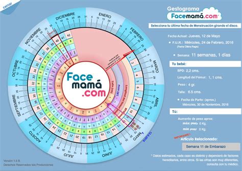 Imagen de un gestograma tradicional y una captura de pantalla de una calculadora de embarazo online.