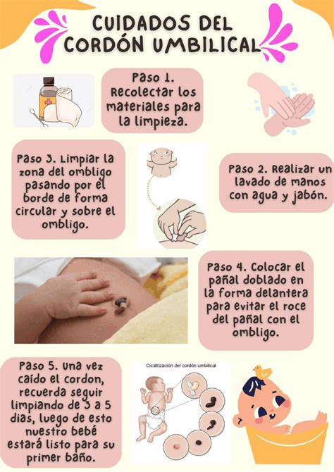 Infografía paso a paso sobre cómo limpiar la base del cordón umbilical y cómo doblar el pañal para proteger el muñón.
