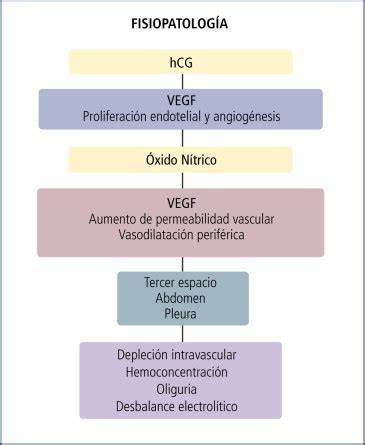 Esquema de la fisiopatología del Síndrome de Hiperestimulación Ovárica, mostrando el aumento de la permeabilidad capilar y la extravasación de líquido.