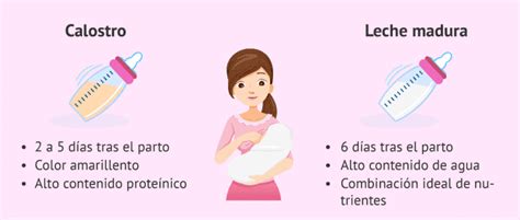 infografía comparativa de la composición del calostro y la leche madura