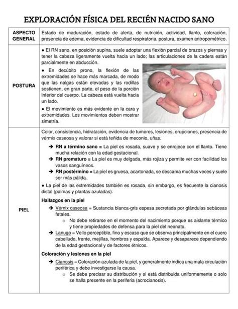 Ilustración detallada de la exploración física de un recién nacido, destacando puntos clave como la fontanela, el cordón umbilical y los genitales.