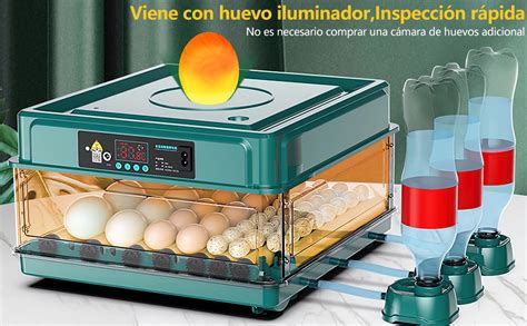 Incubadora de huevos automática