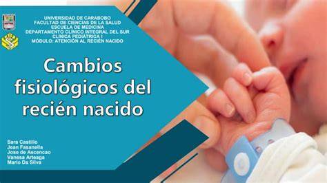 Infografía sobre los cambios fisiológicos del recién nacido