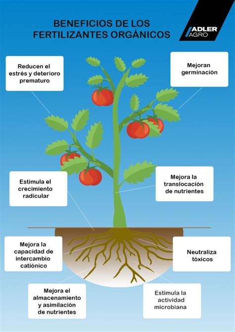 Infografía: Eficiencia global del uso de fertilizantes por región y cultivo