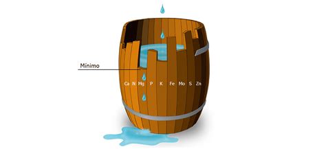 Diagrama: Barril de Liebig ilustrando la Ley del Mínimo