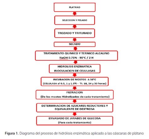 Infografía detallada del proceso de hidrólisis enzimática en frío para fertilizantes marinos