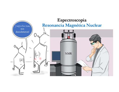 Esquema de la espectroscopía de Resonancia Magnética Nuclear (RMN) aplicada al análisis de líquido folicular
