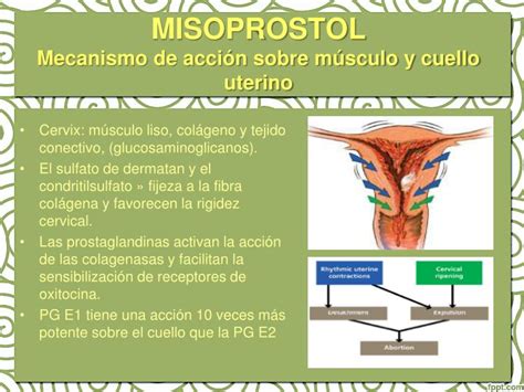 Esquema sobre la acción del misoprostol en el cuello uterino durante la inducción del parto.