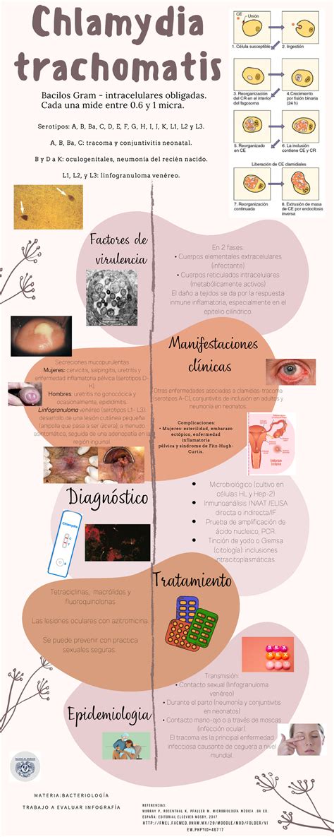 Esquema de las vías de transmisión y patogénesis de Chlamydia trachomatis en el tracto reproductivo femenino