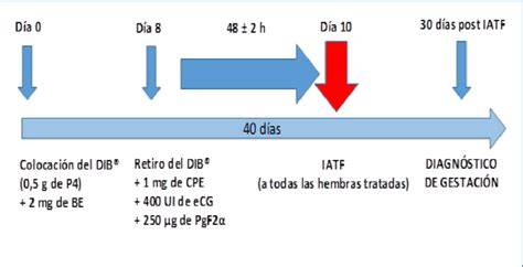 Diagrama de un protocolo de sincronización hormonal para IATF