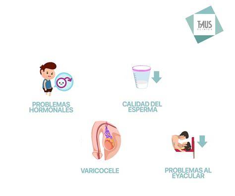 Diagrama: Vías diagnósticas en la infertilidad masculina