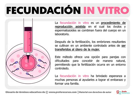 Esquema de las etapas de la ovodonación o fertilización in vitro