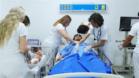 Esquema de las áreas de estudio en la carrera de Médico Cirujano y Partero