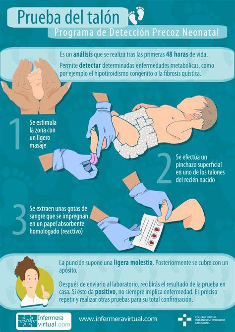 Esquema del procedimiento de la prueba del talón en recién nacidos