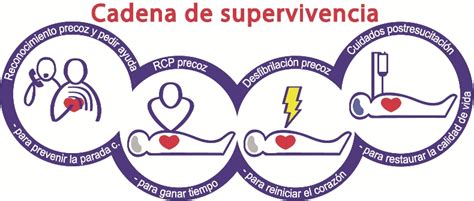 Esquema de la cadena de supervivencia en pediatría