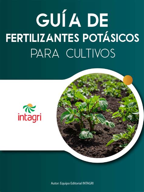 Esquema comparativo de los principales tipos de fertilizantes potásicos