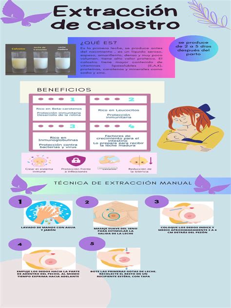 Esquema de las posiciones para la extracción manual de calostro