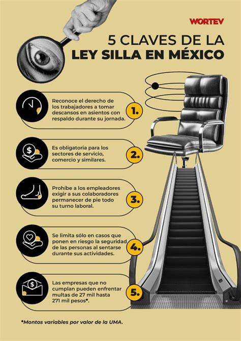 Infografía: 5 Claves para elegir una silla de Grupo 2/3