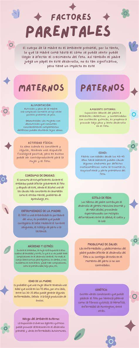 Infografía mostrando la interacción entre genes maternos y paternos en el desarrollo de la placenta