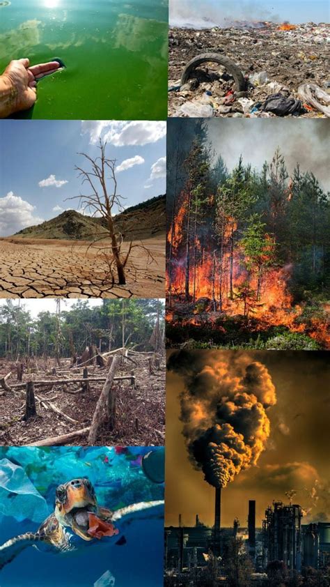 Collage de imágenes promocionales de algunos de los espectáculos de estreno