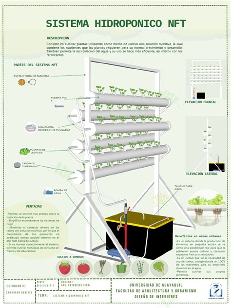 Sistema hidropónico con plantas creciendo en solución nutritiva en un invernadero