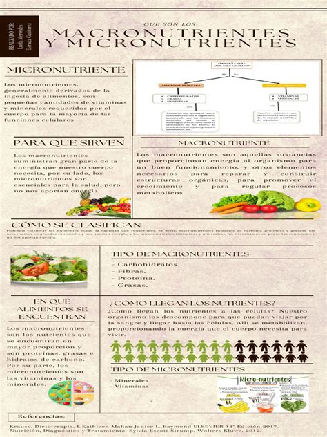 Infografía de macronutrientes y micronutrientes esenciales para plantas y sus funciones clave