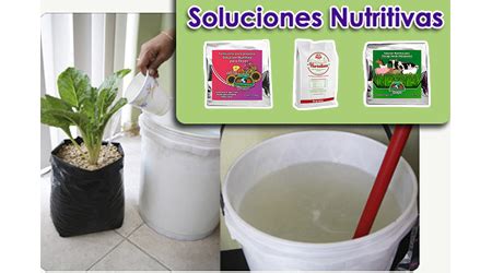 Materiales y balanza para preparar una solución nutritiva hidropónica casera