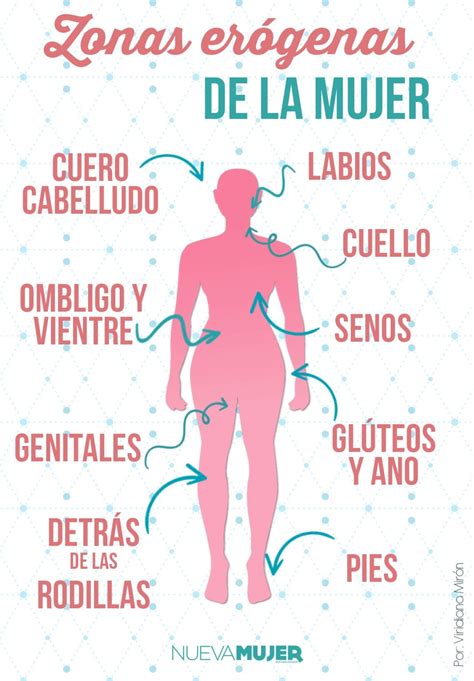 Esquema de las zonas del cuerpo donde una mujer puede sentir dolor durante un embarazo ectópico