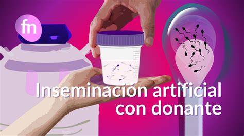Esquema del proceso de inseminación artificial con semen de donante