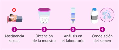 Infografía: Pruebas clave para donantes de semen