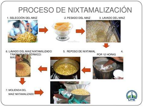 Infografía del proceso de nixtamalización y molienda del maíz