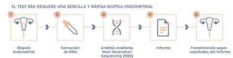 Infografía: Proceso del test de receptividad endometrial (ERA)
