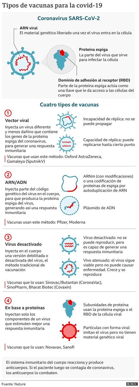 infografía sobre el mecanismo de acción de las vacunas COVID-19 y la lactancia materna